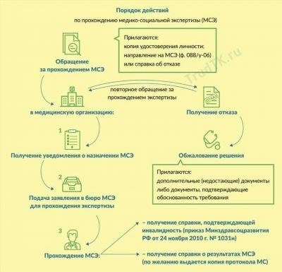 Сколько времени занимает оформление инвалидности