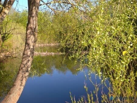 Отличия коммунальных квартир в центре и комнат на окраине