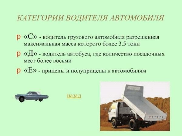 Может ли водитель грузового автомобиля быть самозанятым