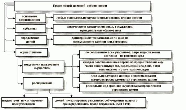 Деление на равные части