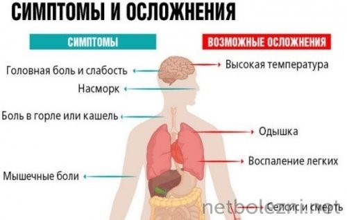 Почему развивается «хронический COVID-19»?