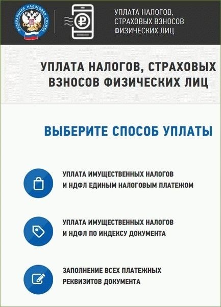 Как обратиться за помощью в случае поступления налоговых требований?