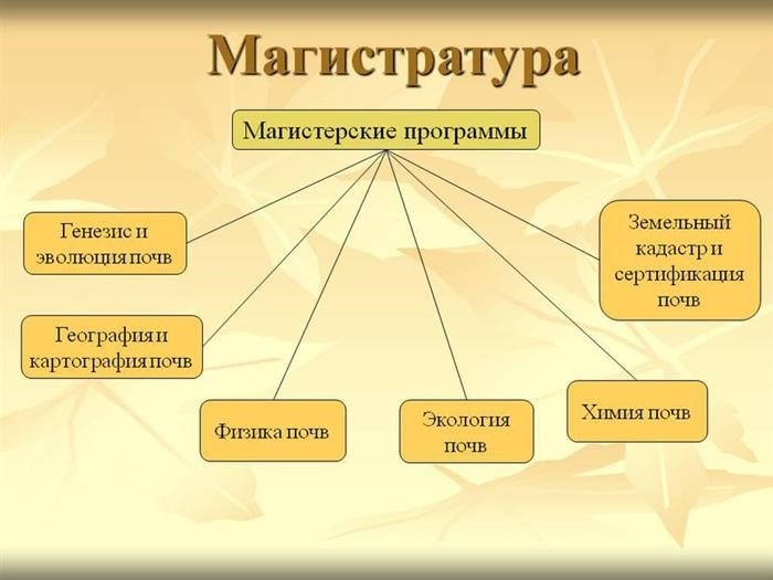 Программы магистратуры в России