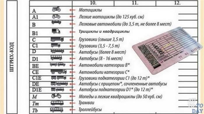 Категории прав на автомат: А, B, C, D, М