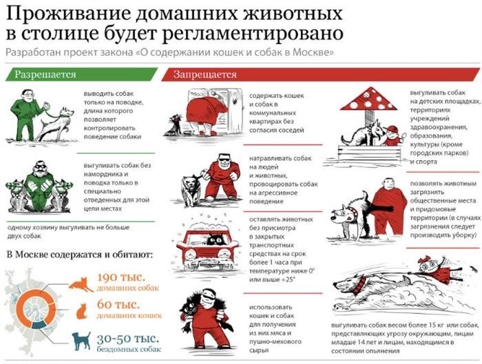 Чем опасен укус неизвестной собаки для человека: болезни, симптомы, последствия