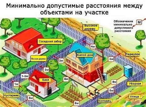 Кустарники, требующие особой осторожности при посадке