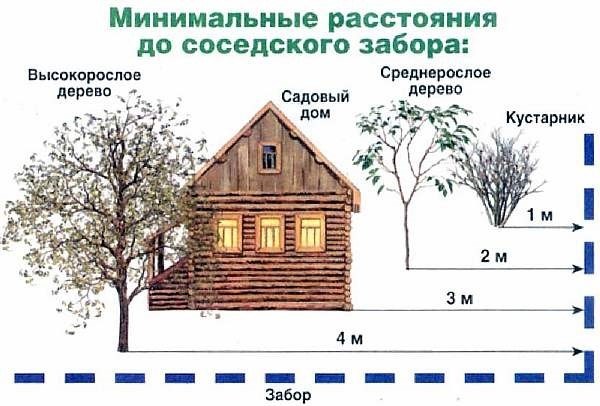 Забор между соседями: что предусматривает закон