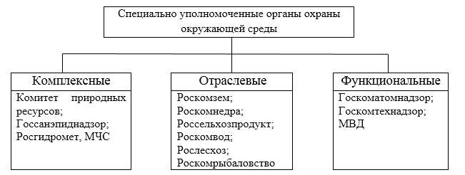 Основы экологического права и профессиональная ответственность