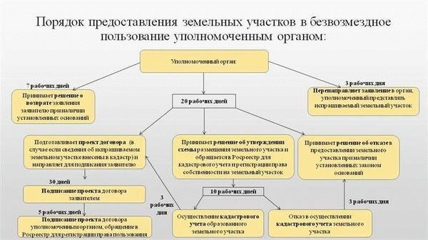 Основания прекращения действия договора и его структура