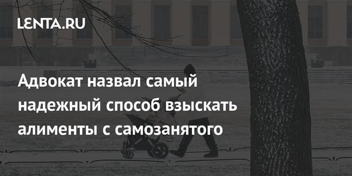 Может ли юрист работать самозанятым?