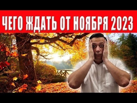 Можно ли заниматься самозанятостью, находясь за пределами России?